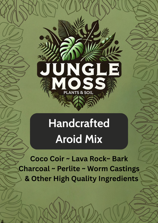 Handcrafted Aroid Mix